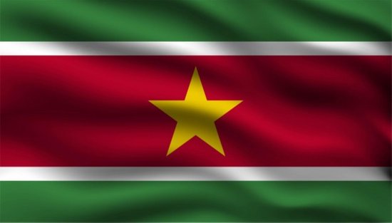 Partychimp Landsvlag Suriname 150 Cm Polyester Vert / rouge / blanc | bol.