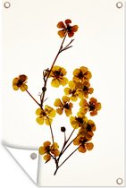 Tuindecoratie Droogbloemen - Geel - Wit - 40x60 cm - Tuinposter - Tuindoek - Buitenposter