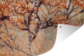 Gros plan de branche avec feuilles d'automne affiche de jardin toile en vrac 120x80 cm - toile de jardin / toile d'extérieur / Peintures pour l'extérieur (décoration de jardin)