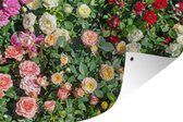Tuinposter - Tuindoek - Tuinposters buiten - Rozen - Struik - Kleuren - 120x80 cm - Tuin