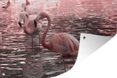 Muurdecoratie Een groep flamingo's staat in het water - 180x120 cm - Tuinposter - Tuindoek - Buitenposter