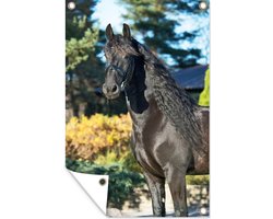 Tuinposter - Tuindoek - Tuinposters buiten - Zon - Fries - Paard - 80x120 cm - Tuin