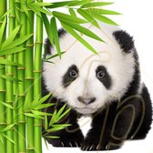 DP Benelux Diamond Painting Bamboo Panda - 40 x 40 cm