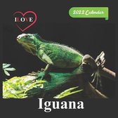 Ilove Iguana calendar 2022