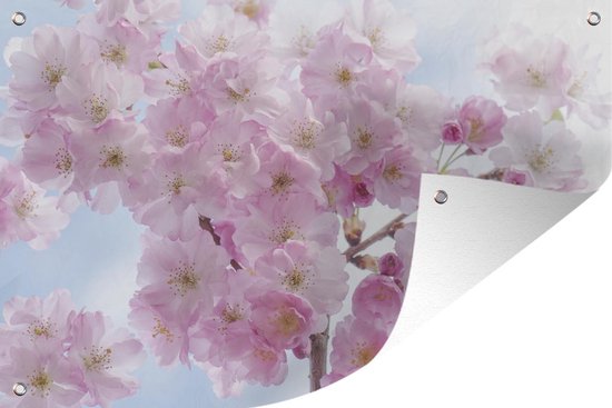 Tuinposter - Tuindoek - Tuinposters buiten - Bloesem - Kersenboom - Lente - 120x80 cm - Tuin