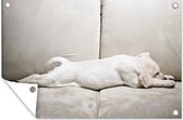 Muurdecoratie Labrador puppy op bank - 180x120 cm - Tuinposter - Tuindoek - Buitenposter