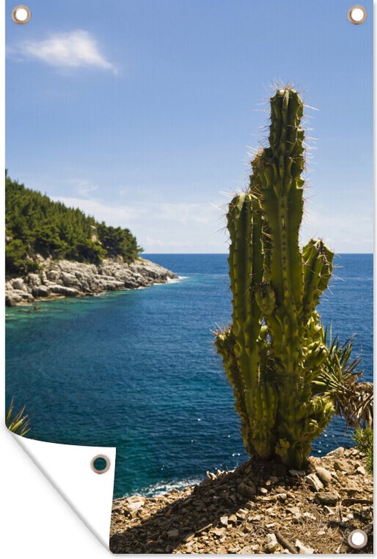Un cactus près de la baie dans le Parc National de Mljet en Croatie Affiche de jardin 120x180 cm - Toile de jardin / Toile d'extérieur / Peintures d'extérieur (décoration de jardin) XXL / Groot format!