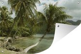 Tuinposters buiten Frans-Polynesische eiland Moorea met palmbomen op het strand - 90x60 cm - Tuindoek - Buitenposter