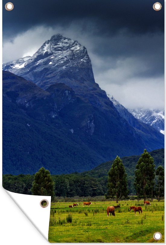 Meadow in Mount Aspiring National Park in New Zealand Garden poster 40x60 cm - small - Toile de jardin / Toile d'extérieur / Peintures pour l'extérieur (décoration de jardin)