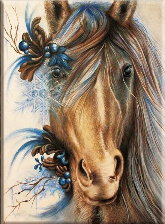 Decoratief havik Snel Borduren - paard - 40x50 - 28 kleuren | bol.com