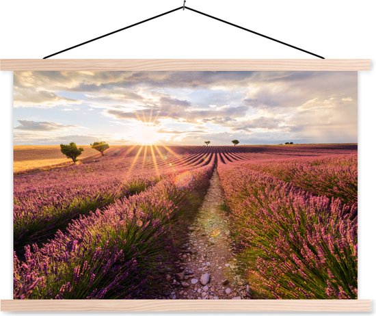 Posterhanger incl. Poster - Schoolplaat - De zon schijnt op een lavendelveld in Zuid-Frankrijk - 150x100 cm - Blanke latten