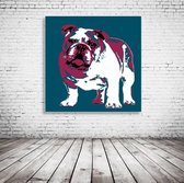 Bulldog Pop Art Acrylglas - 100 x 100 cm op Acrylaat glas + Inox Spacers / RVS afstandhouders - Popart Wanddecoratie