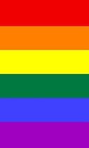 LGBTQ+ Pride Rainbow Flag Journal