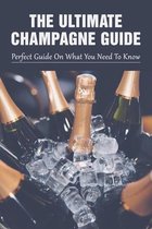 The Ultimate Champagne Guide: Perfect Guide On What You Need To Know