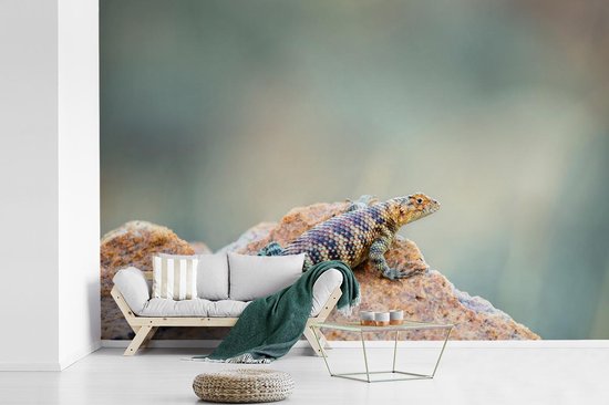 Papier fotobehang Portrait d'un lézard coloré