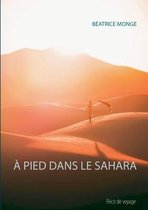 A Pied Dans Le Sahara