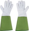 Esschert Design Tuinhandschoenen Manchet Canvas/leer Groen Maat L