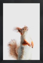 JUNIQE - Poster in houten lijst Red Squirrel II -20x30 /Grijs & Oranje