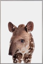 JUNIQE - Poster met kunststof lijst Tapir -20x30 /Bruin