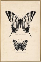 JUNIQE - Poster met kunststof lijst Butterfly Engraving -30x45 /Bruin