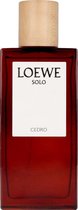 LOEWE SOLO LOEWE spray 150 ml geur | parfum voor heren | parfum heren | parfum mannen