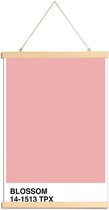 JUNIQE - Posterhanger Blossom -40x60 /Roze & Wit