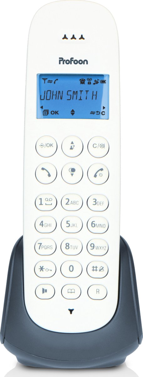 Profoon PDX300AE - DECT telefoon met 1 handset, leisteen