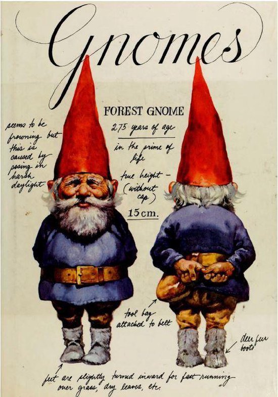 Gnomes (ebook), Wil Huygen 1230004876854 Boeken bol