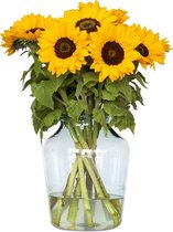 Zonnebloemen - 10 stuks