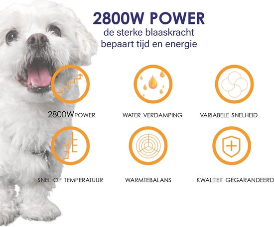 Forgoods Professionele Hondenfohn - Waterblazer voor Honden - Hondenfohn met 4 Opzetstukken - 2800W Verstelbaar Vermogen - Zwart