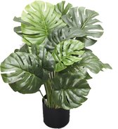 Monstera I / pot h60cm
