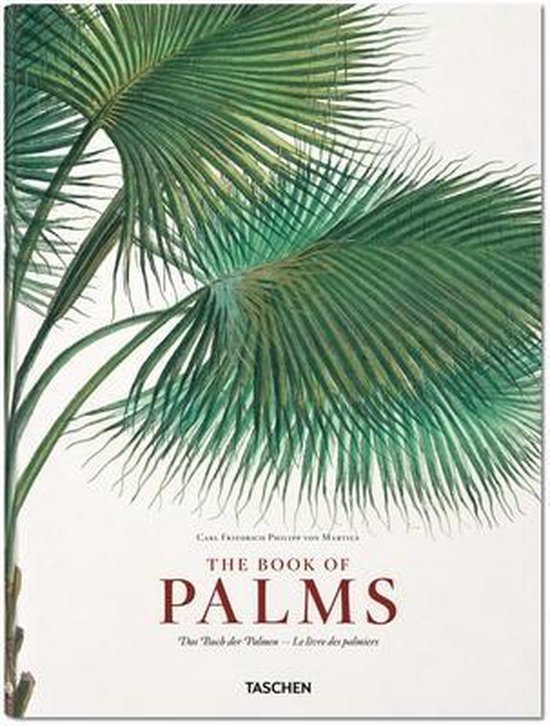 Cover van het boek 'Martius - Book Of Palm' van Walther Lack