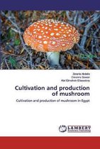 Cultivation and production of mushroom