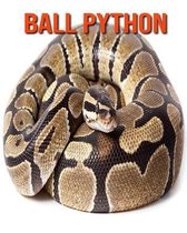 Ball Python