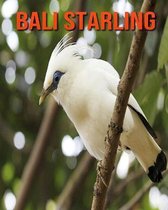 Bali Starling