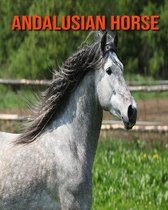 Andalusian Horse