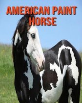 American Paint Horse