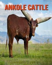 Ankole Cattle