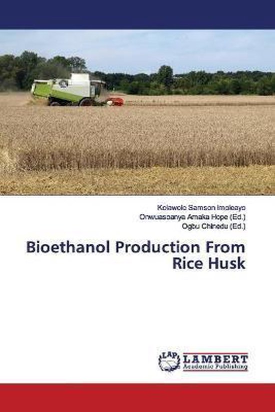 Foto: Bioethanol production from rice husk