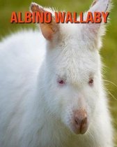 Albino Wallaby