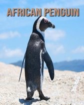 African penguin