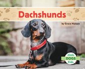 Dogs (Abdo Kids Jumbo)- Dachshunds