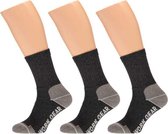 Apollo 3-Pack Worker Gear Werksokken Grijs