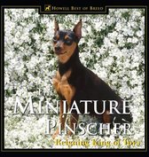 The Miniature Pinscher