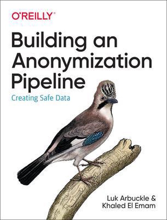 Building an Anonymization Pipeline Creating Safe Data - cover