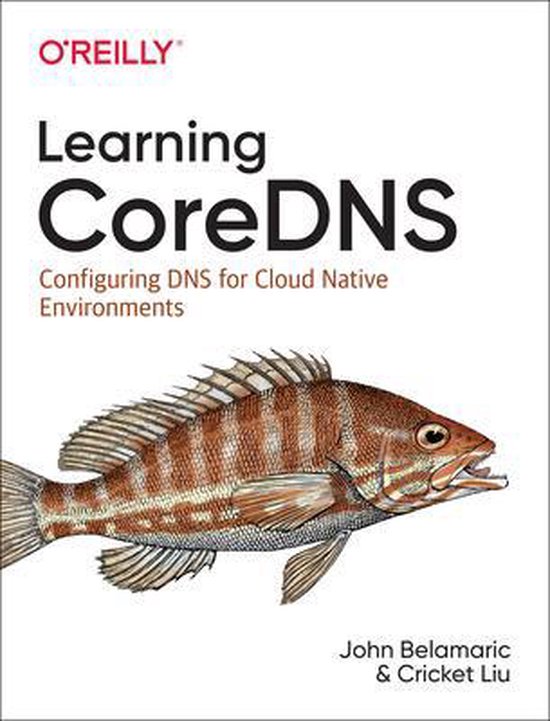 Learning Coredns Configuring DNS for Cloud Native Environmen ... - cover