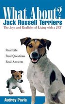 What About Jack Russell Terriers?