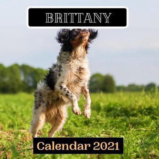 Brittany Calendar 2021, Funny Calendar 2021 Publishing 9798698011835