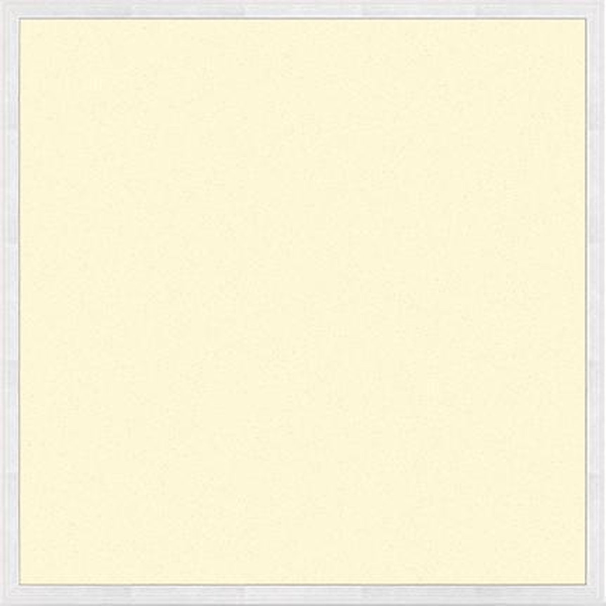 Varnalux 2st. Varnalux Basic LED Backlit Paneel - 60x60 cm - 40W - 4000K - 100 lm/W - EU Stekker Wit