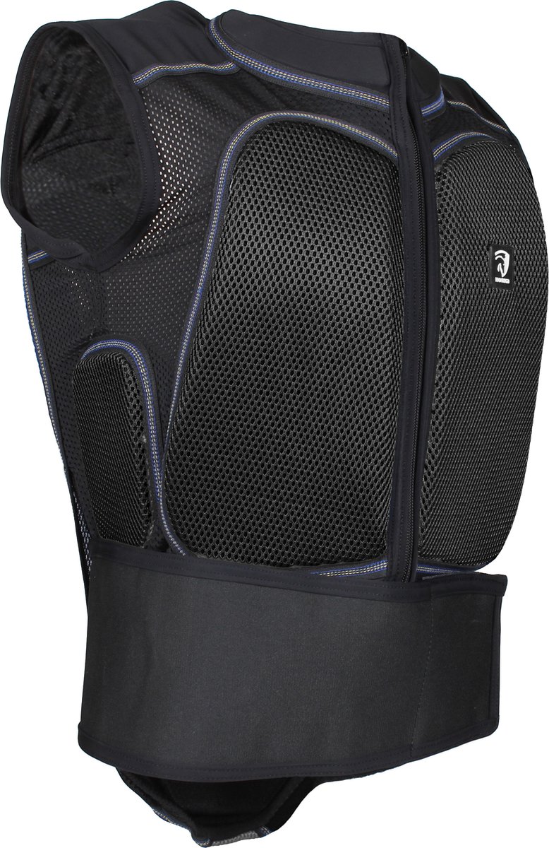 BACK PROTECTOR